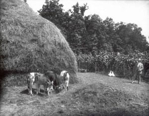 George Booth (right)