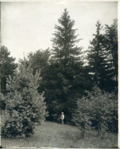 Photo Friday12_26_14