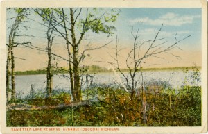 Postcard sent to Leopold friend upon finding Kirkland's warbler. Courtesy Cranbrook Archives