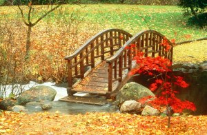 Oriental Garden bridge, Fall 1980. Copyright Balthazar Korab/Cranbrook Archives.