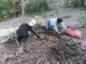 Cranbrook House and Gardens Auxiliary volunteers plant in the gardens around Cranbrook House. Photo by Eric Franchy, Cranbrook House & Gardens.