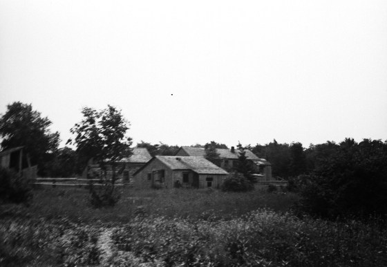Abandoned buildings from the House of David Colony on High Island. Photo by Robert Hatt. Courtesy Cranbrook Archives.
